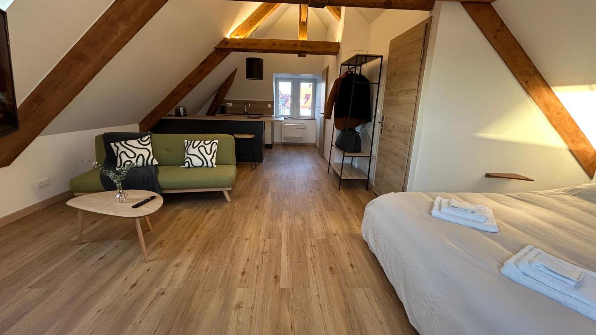 Appartement Moderne Et Spacieux, A 10 Min De La Gare Colmar Exterior photo
